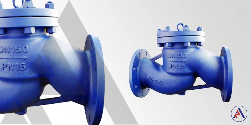 PN16 Non Return Valve